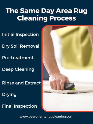 rug cleaning process